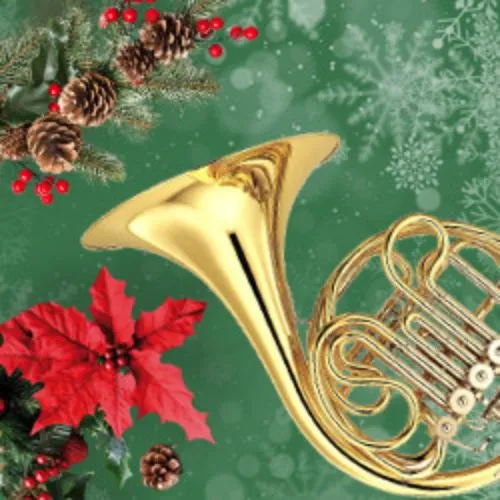 Билеты на концерт Бах, Моцарт, Вебер в СПб 11 янв 2026