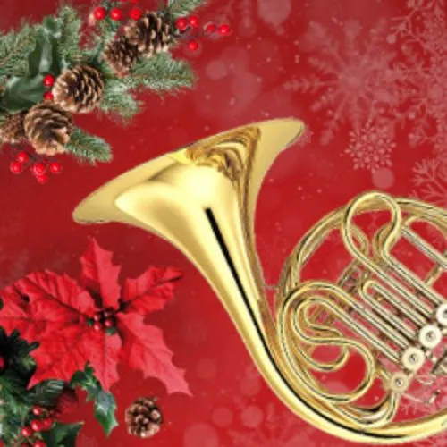 Билеты на концерт Чайковского и Дворжака в СПб 11 Янв 2026