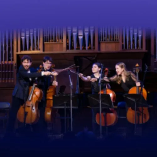 Билеты: Международный день виолончели - 29 Дек 2025