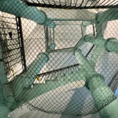 Билеты на Неформальный Микс 17 Дек 2025 - Санкт-Петербург