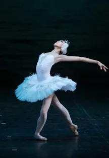 Билеты на Лебединое озеро в Ростове 8 Фев 2026