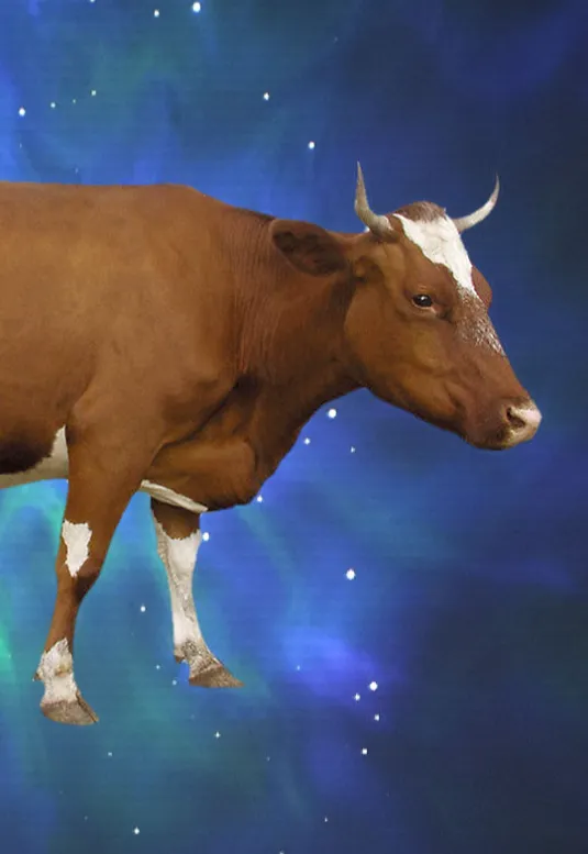 Билеты на "Чудо" Юрия Макеева 19 янв 2026 в Москве