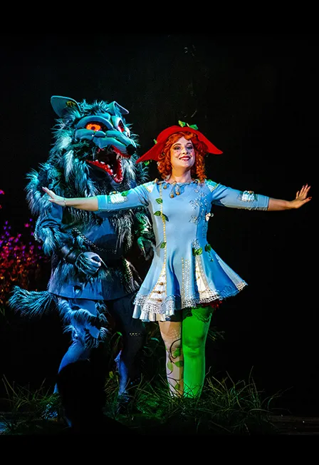 Билеты на оперу Красная Шапочка в СПб, 18 янв 2026