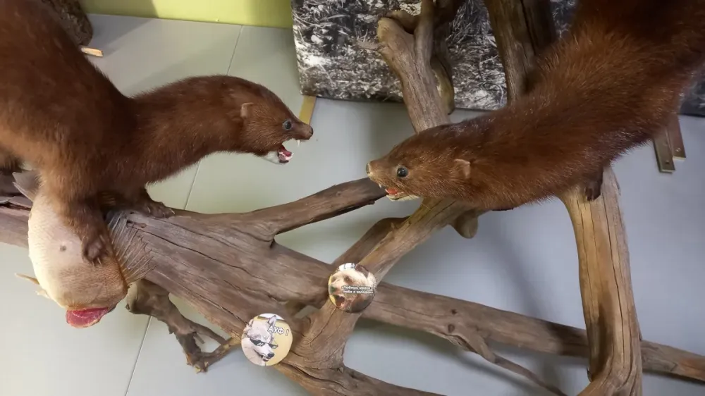 Билеты на ЗначОК, Нижневартовск, 27 Дек 2025