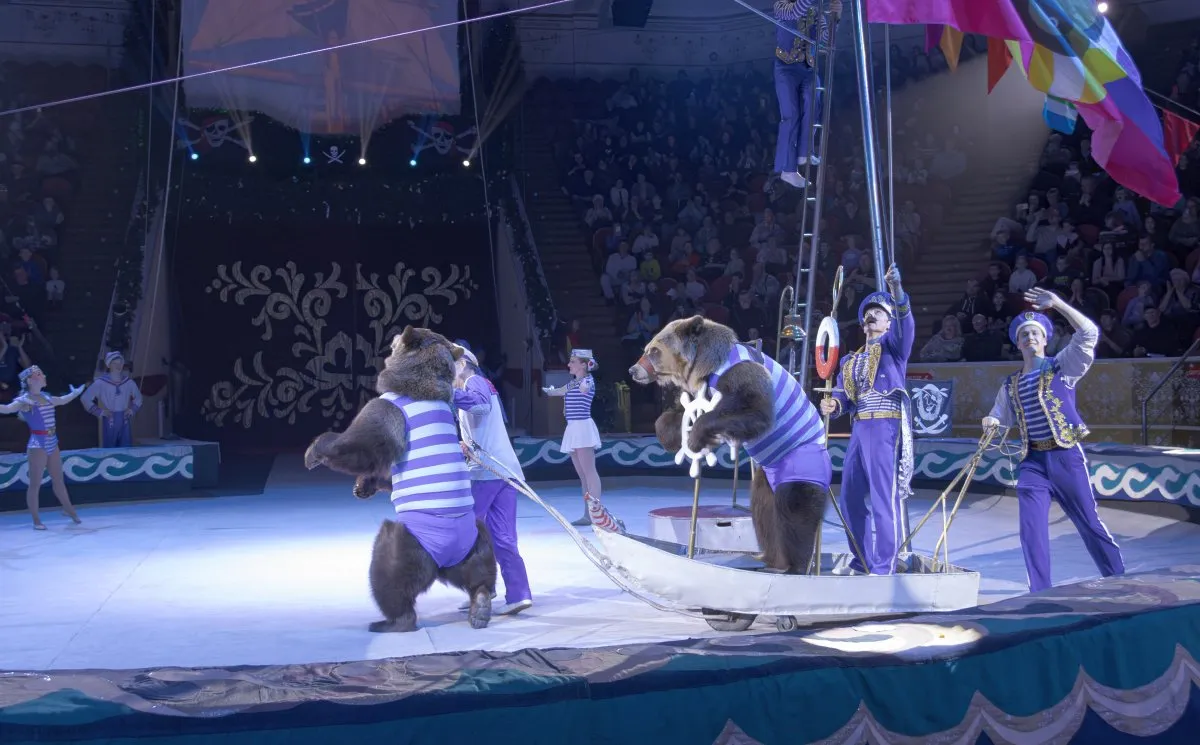 Билеты на Новогоднюю тайну пирата в Рязани 19 дек 2025