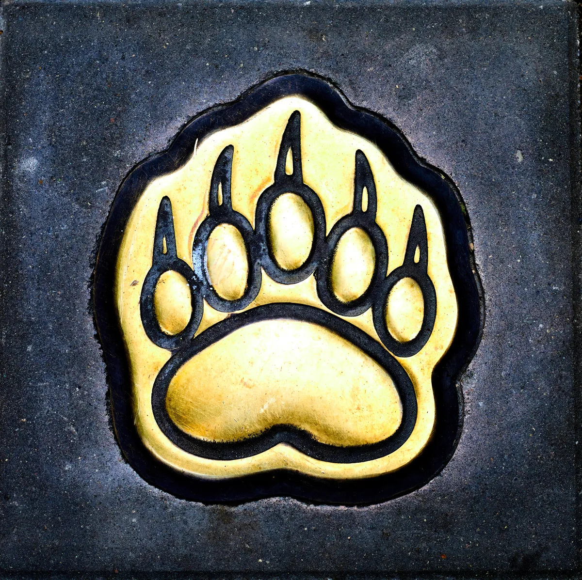 Билеты: 1000-рублёвый Ярославль 11 Ноя 2...