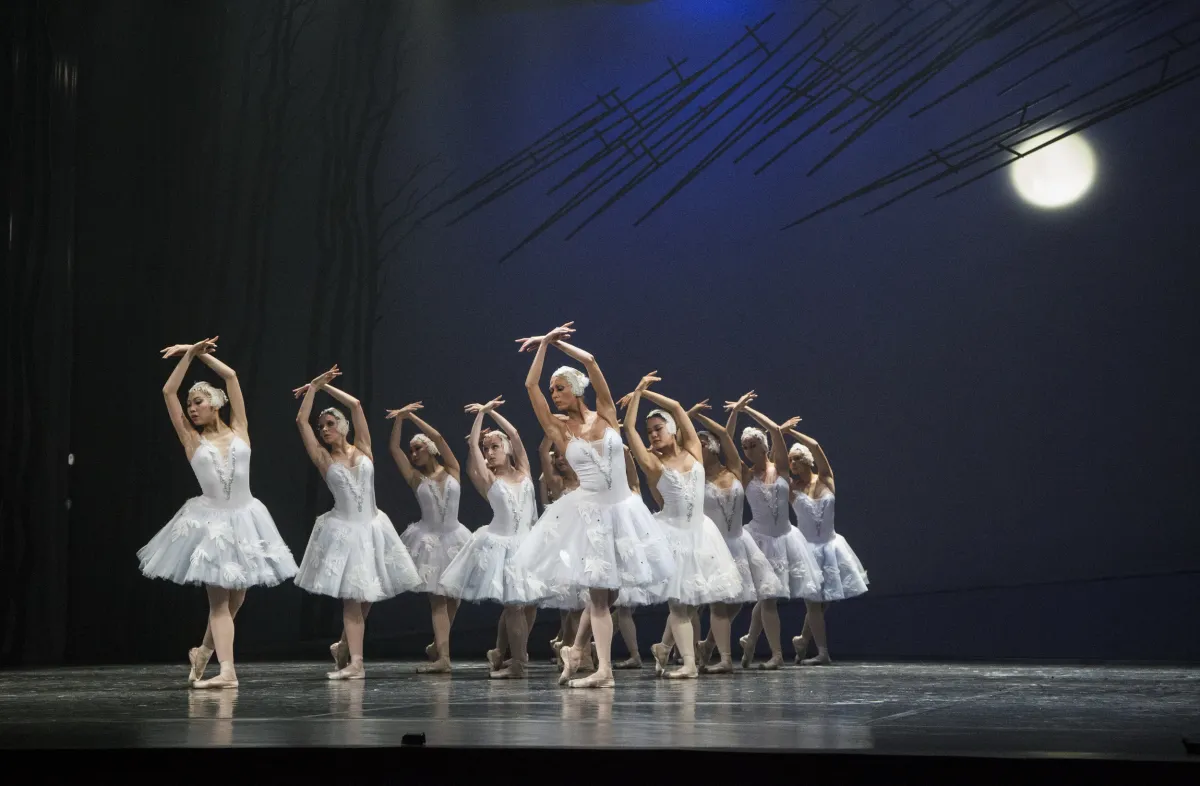 Билеты на Лебединое озеро в Петрозаводске 14 фев 2026