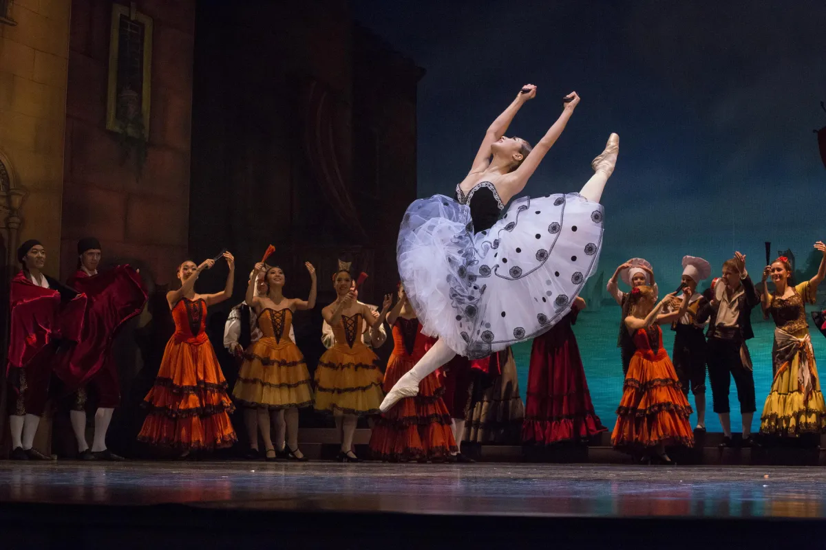 Билеты на Дон Кихот, Петрозаводск, 5 фев 2026