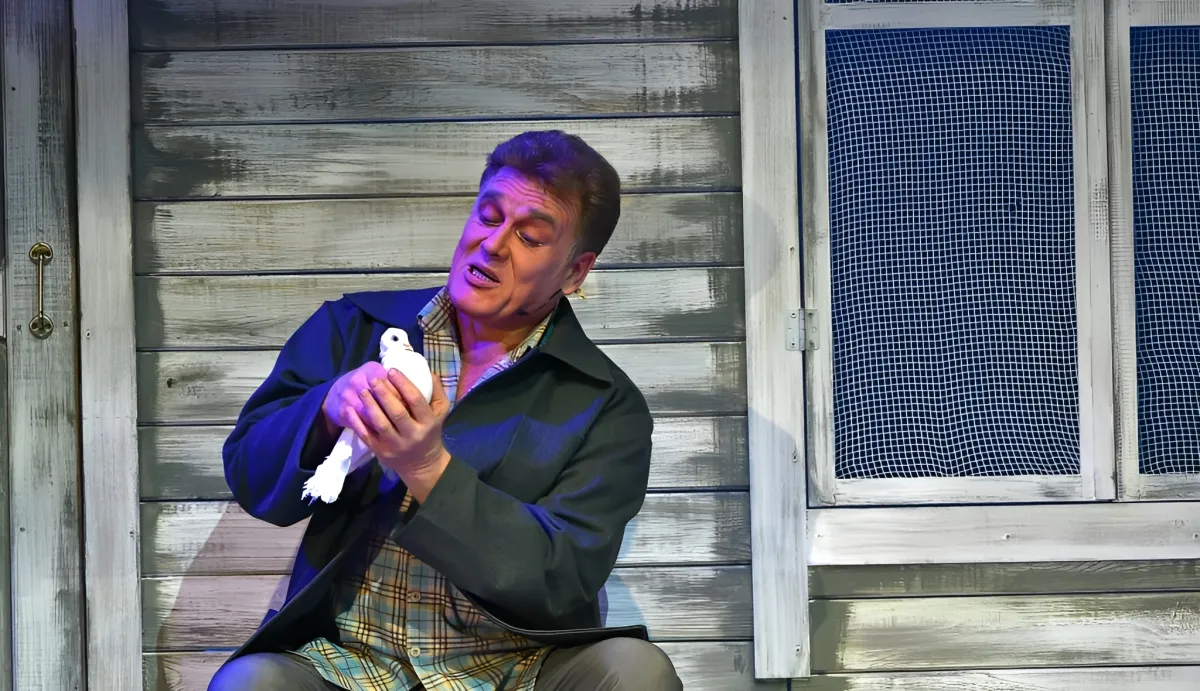 Билеты на Любовь и голуби в Барнауле 5 янв 2026