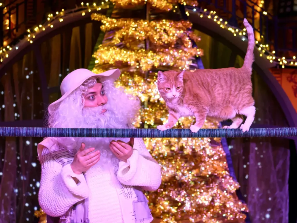 Билеты на Рождественская сказка, 1 Янв 2026, Москва