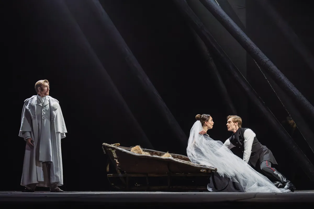 Билеты на Дубровский 11 фев 2026 Москва