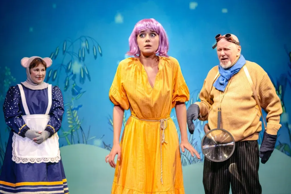 Билеты на Дюймовочка в Москве 27 Дек 2025