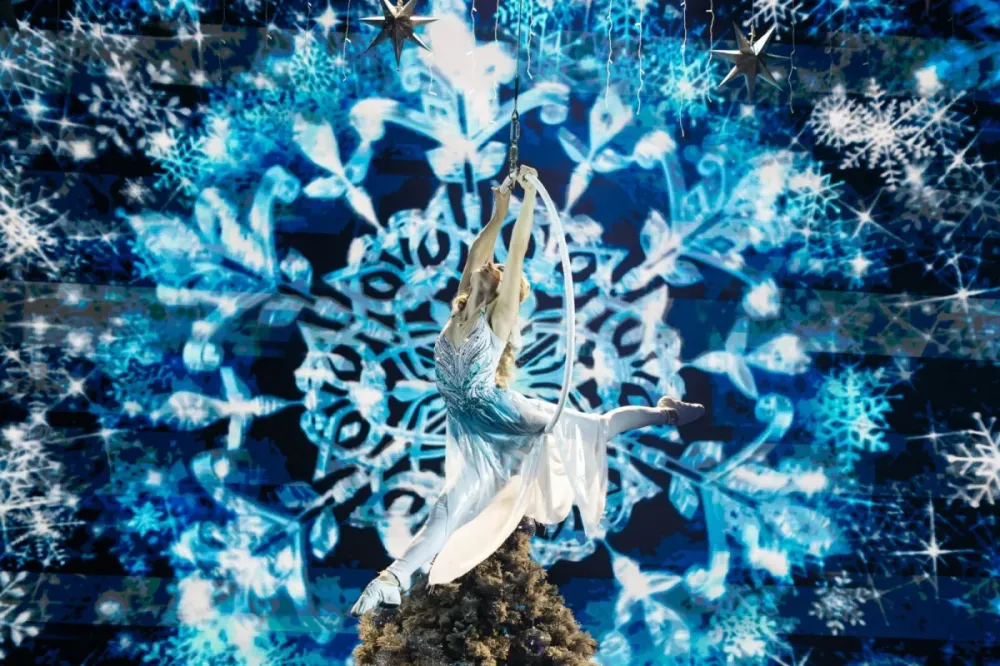 Билеты на Как зажечь ёлку, Москва, 29 Дек 2025