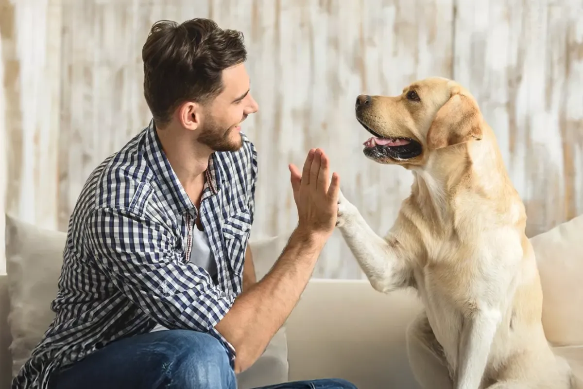 Билеты на StanDog концерт в Москве 14 дек 2025