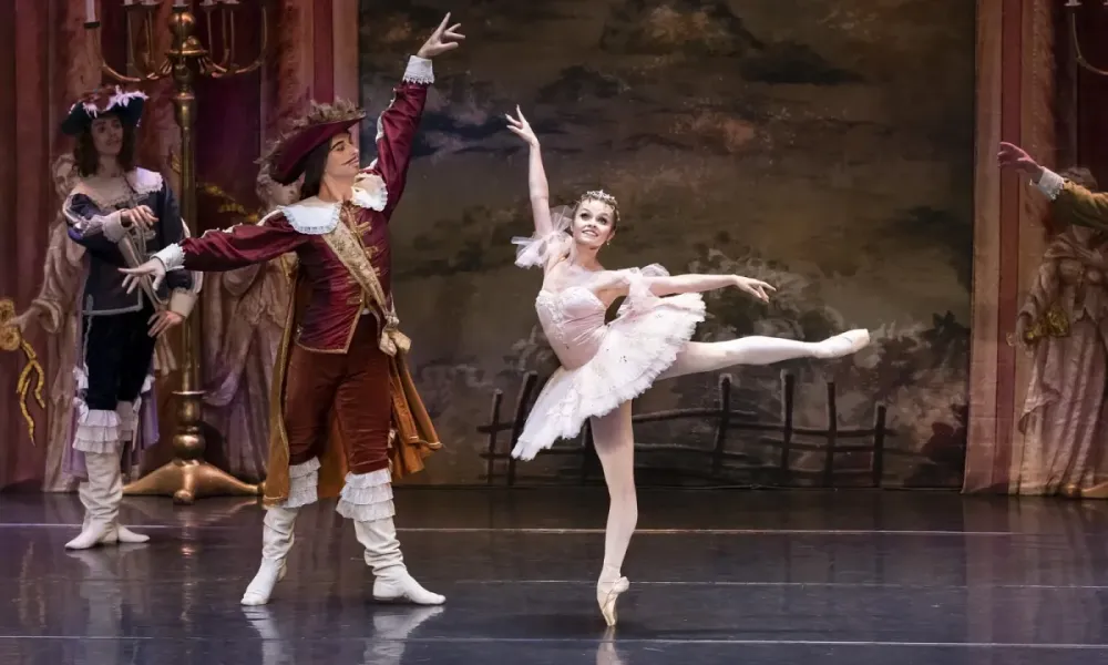 Билеты Спящая красавица 14 Мар 2026 Москва