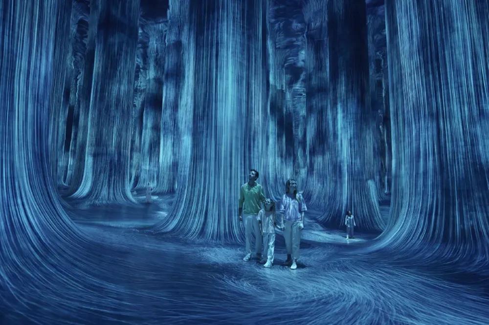 Билеты teamLab Phenomena Abu Dhabi 30 Дек 2025