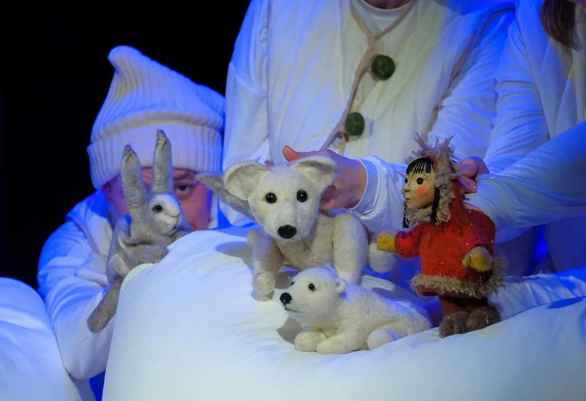 Билеты на Северное сияние, Калининград, 01 Янв 2026