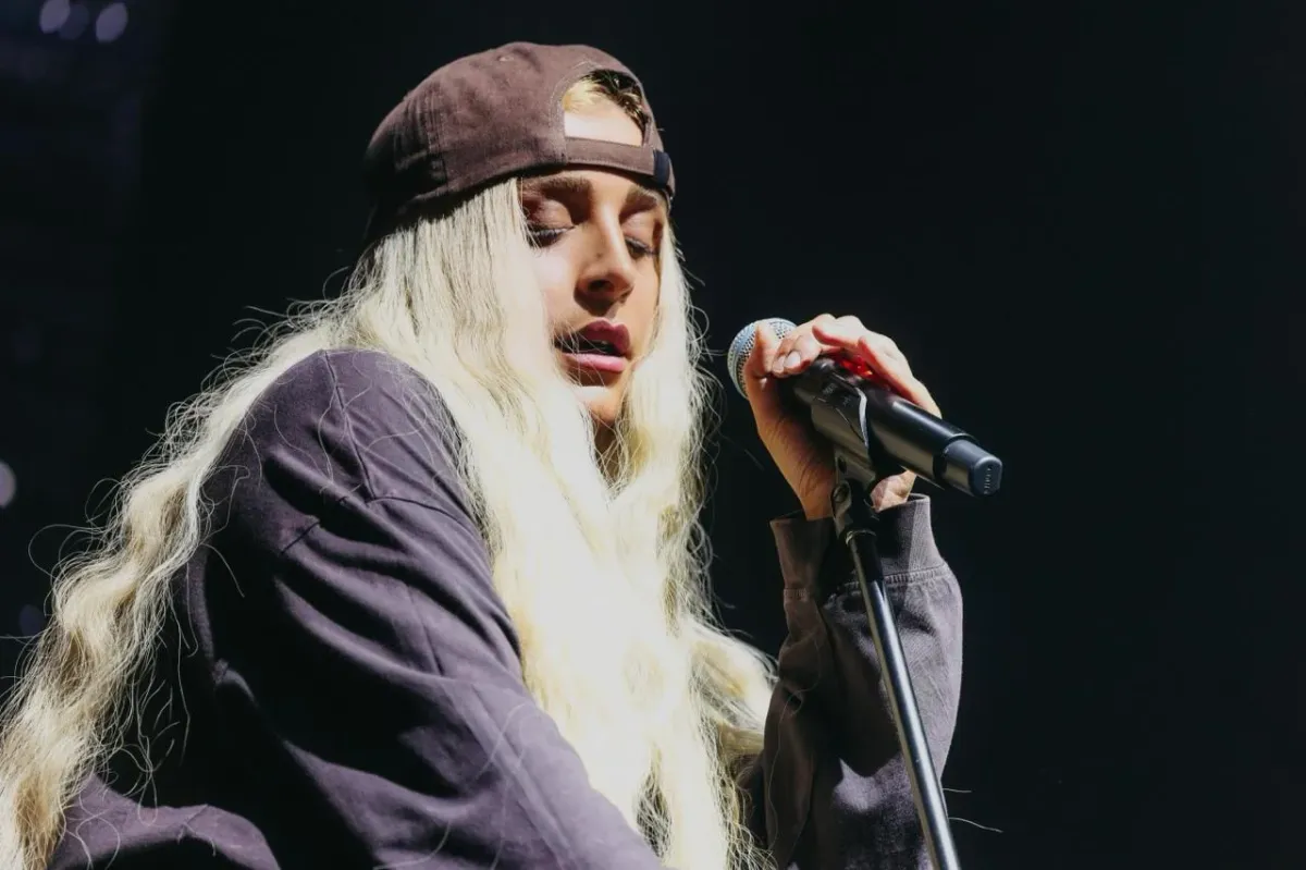 Билеты на Мегу Гогитидзе 07 янв 2026, Светлогорск