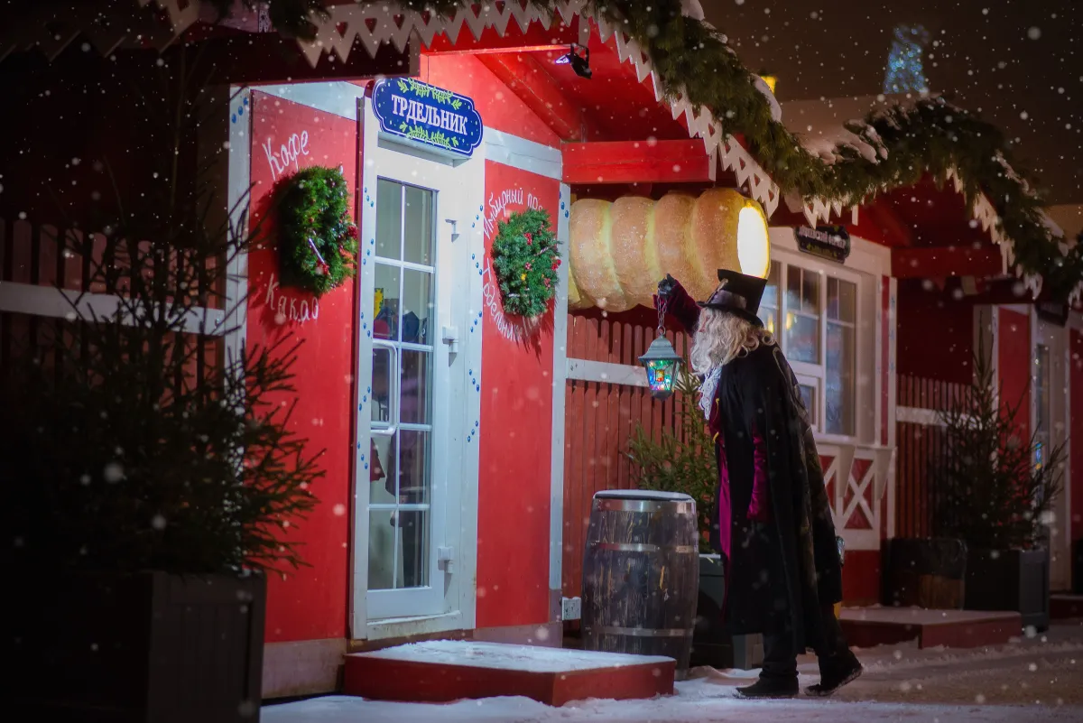 Билеты на Новогоднюю экскурсию с Фаролеро в Сочи 12 дек 2025