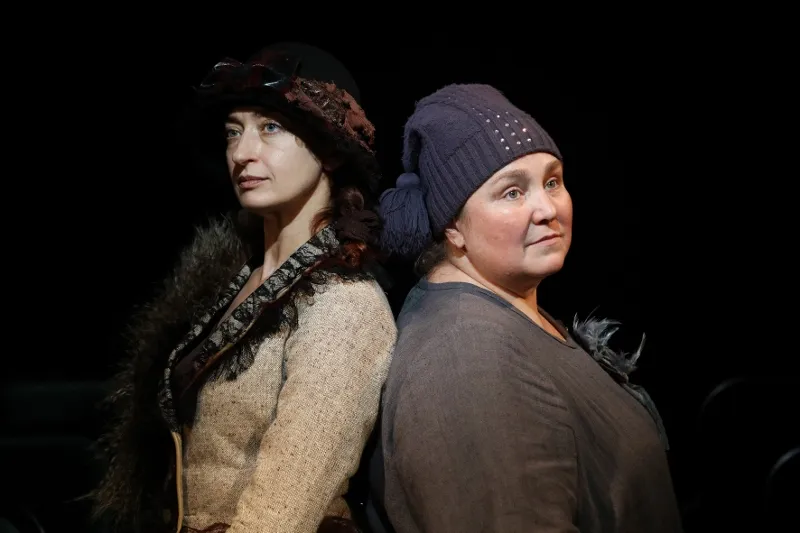 Билеты на Две дамочки в сторону севера 6 янв 2026 СПб