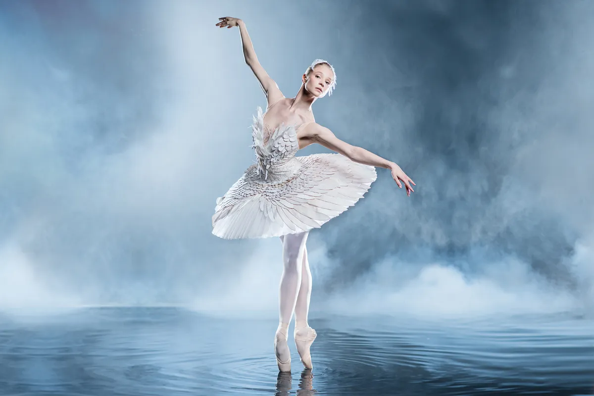 Билеты на Лебединое озеро 20 янв 2026 СПб