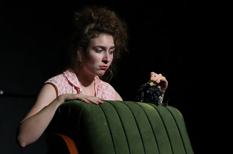 Билеты на Дрозд фрау Майер 17 янв 2026 СПб