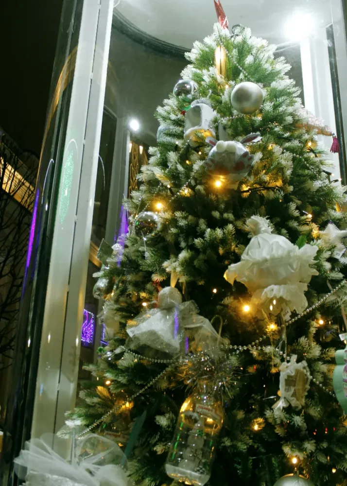 Билеты на Новогодний Петербург 23 Дек 2025