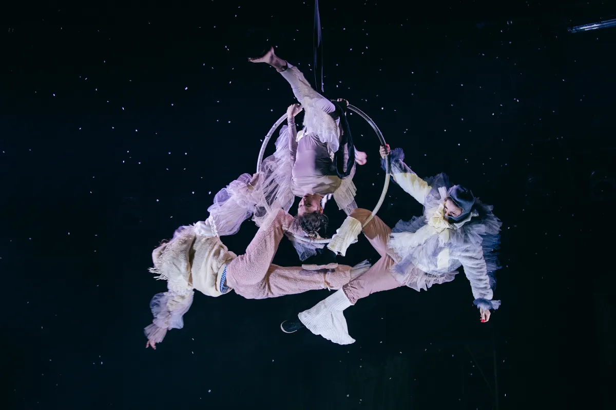 Билеты на Снегопады в Упсала-Цирке 27 Дек 2025 СПб