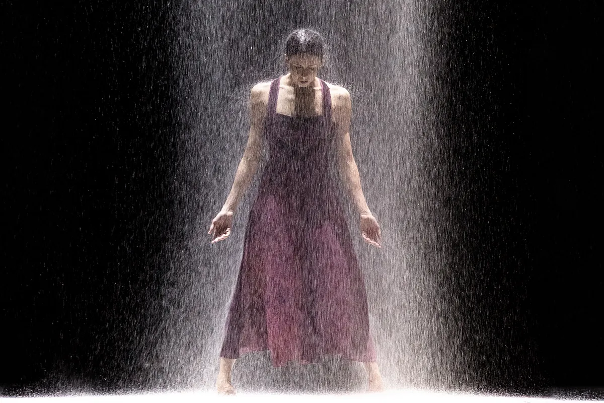 Билеты: Без слов, Прелюдия, Белая тьма СПб 18 фев 2026