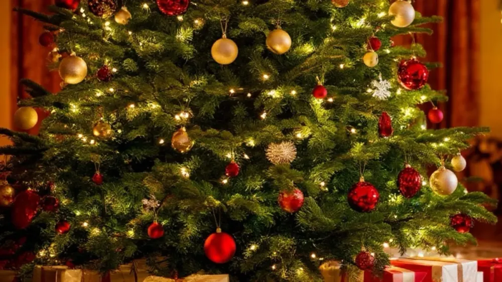 Билеты на Вивальди при свечах в СПб 30 Дек 2025