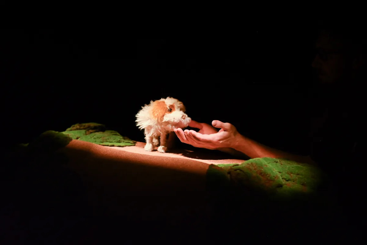 Билеты на Умная собачка Соня 23 Янв 2026 СПб