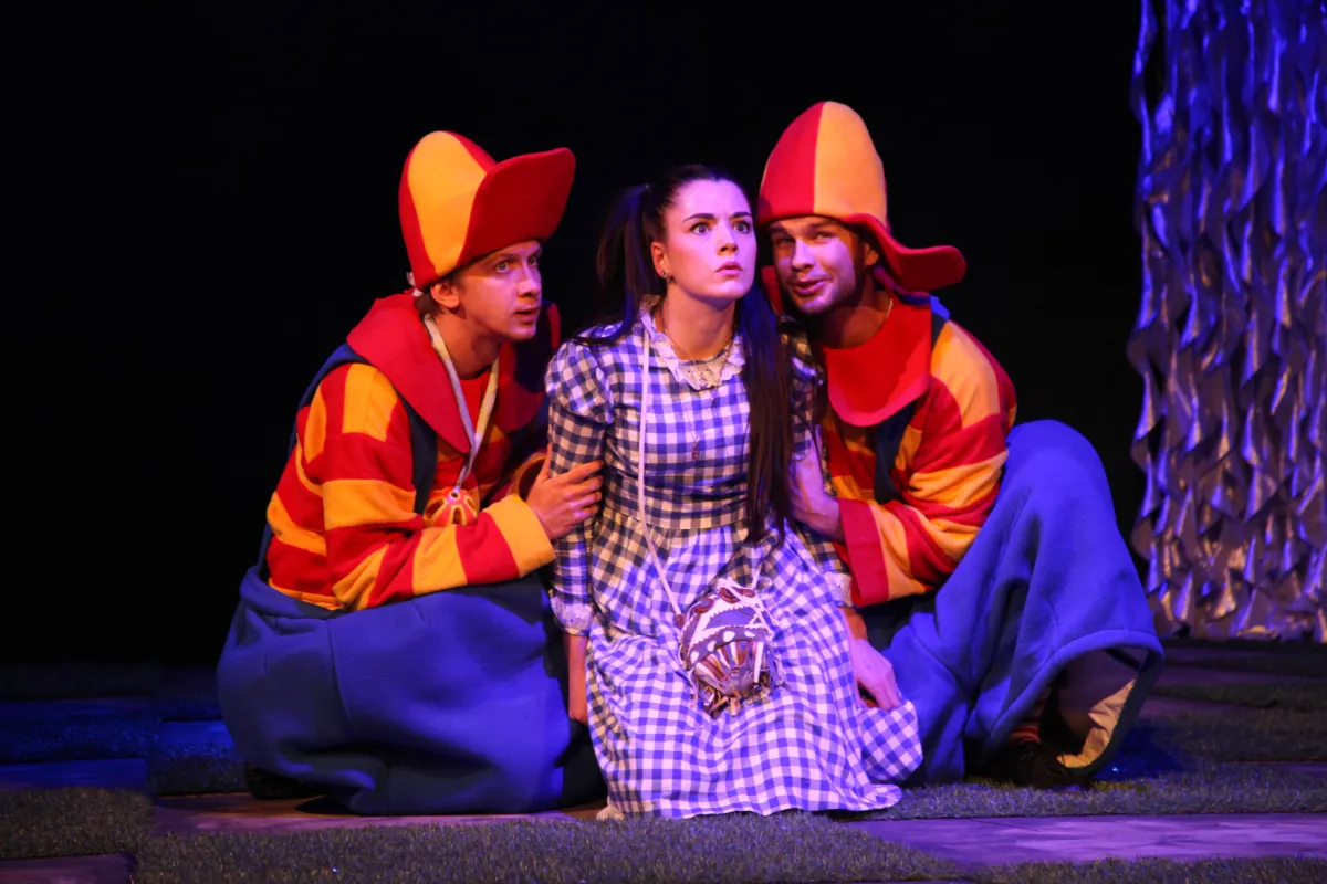 Билеты Алиса в Зазеркалье 23 Янв 2026 Кр...