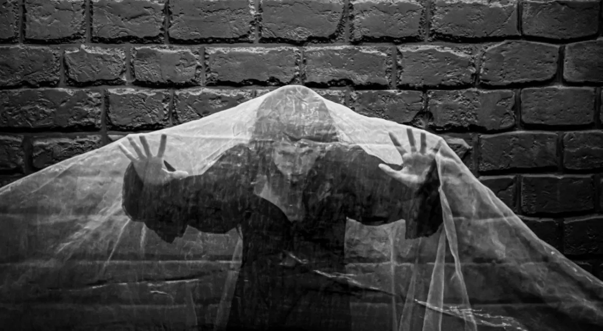 Билеты на Дом Бернарды Альбы 24 дек 2025 Краснодар