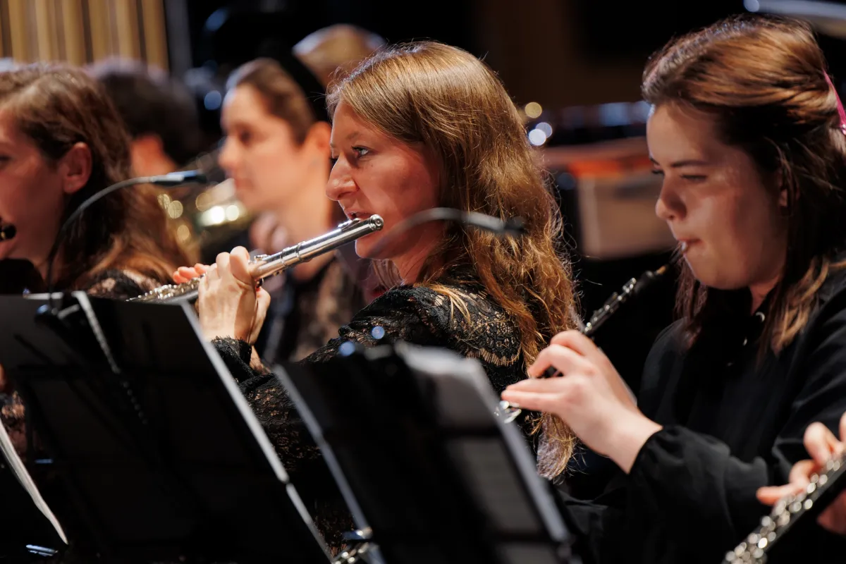 Билеты на музыку Эльмира Низамова в Казани 18 Янв 2026