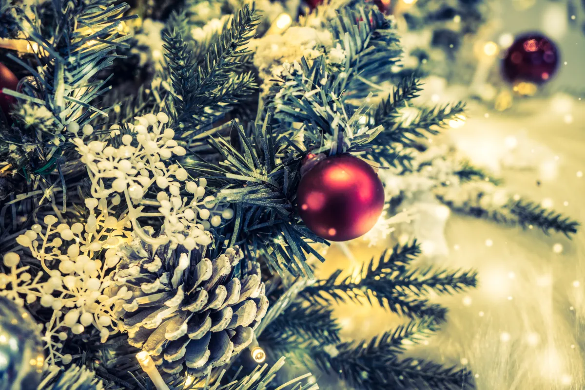 Билеты на Пушистый новый год в Перми 20 декабря 2025