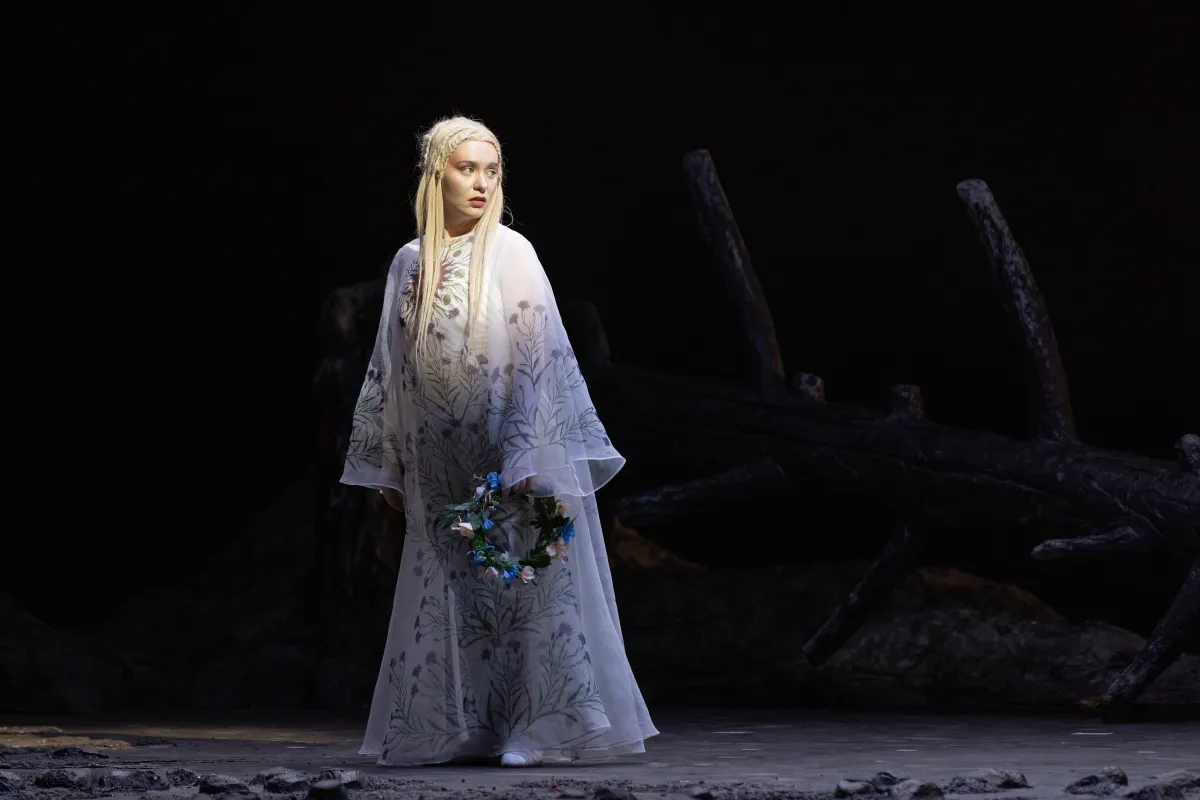 Билеты на Снегурочку 24 ноя 2025 Екатери...