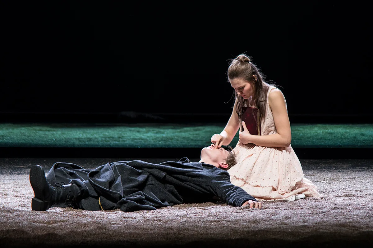 Билеты: Преступление и наказание, Красно...