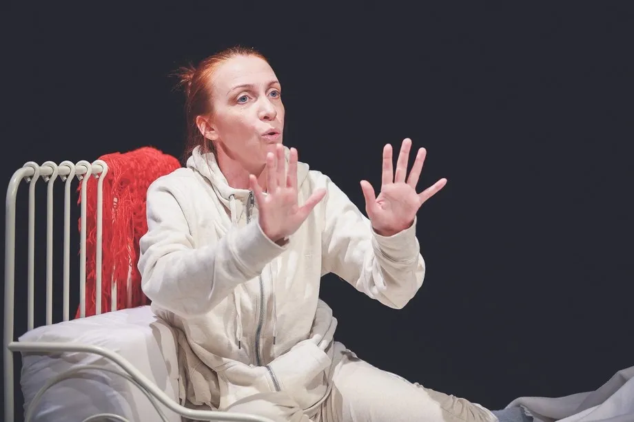 Билеты на Оскар и Розовая дама 21 Янв 2026 Новосибирск