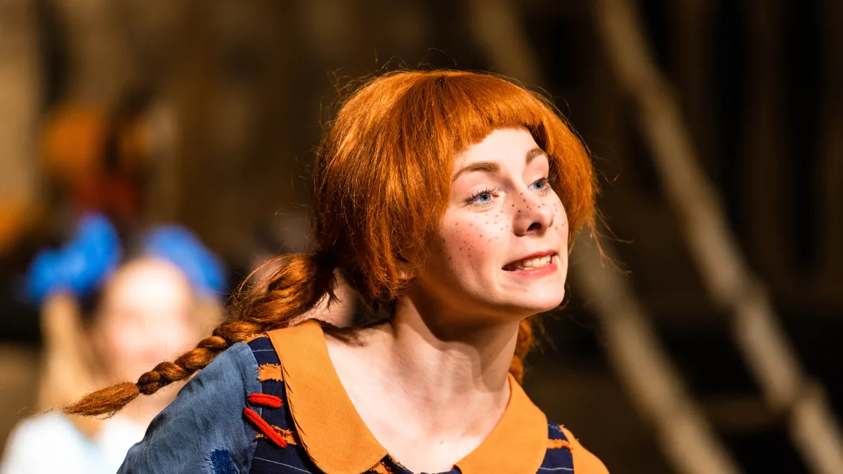 Билеты на Пеппи Длинныйчулок 4 Янв 2026 Новосибирск