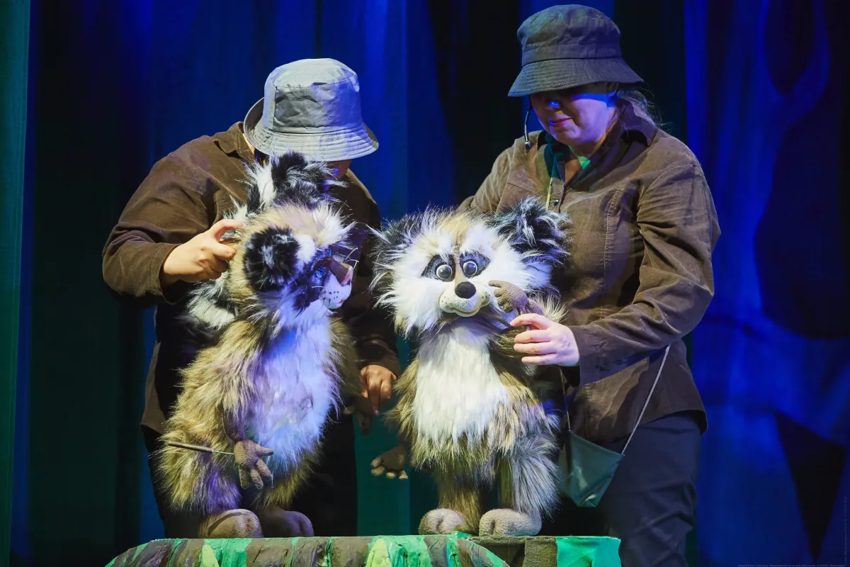 Билеты на Крошка Енот, 30 янв 2026, Новосибирск