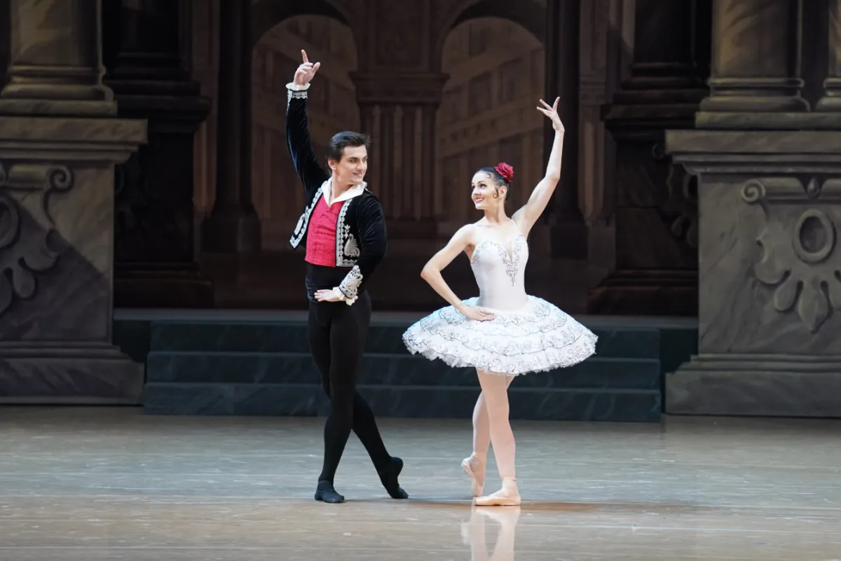 Билеты на Дон Кихот в Новосибирске 09 дек 2025