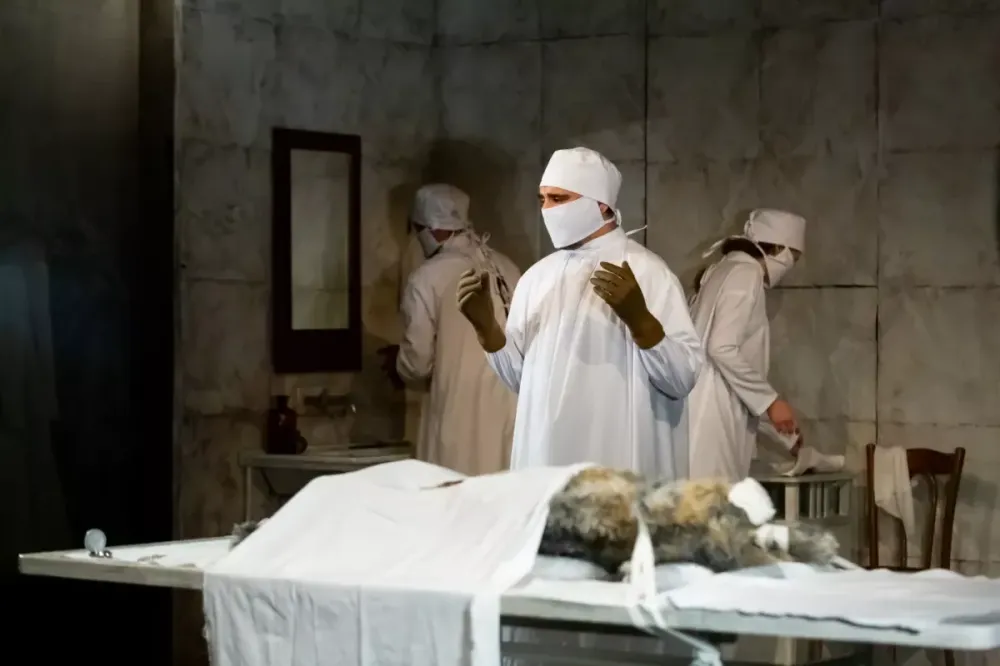 Билеты на Собачье сердце, 27 Дек 2025, Новосибирск