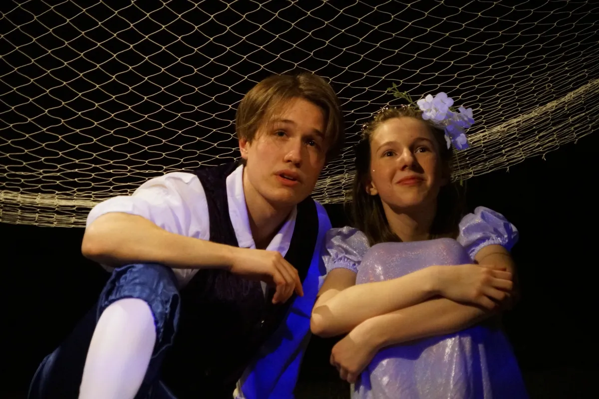 Билеты Русалочка. Виноваты звёзды, 7 янв 2026, Новосибирск