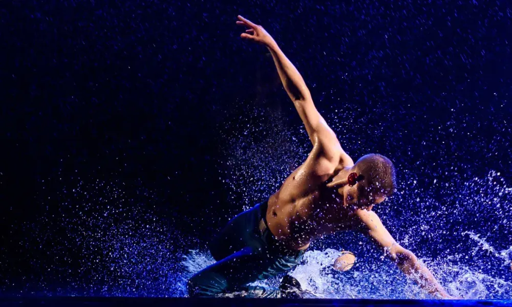 Билеты на Шоу под дождём V, 28 янв 2026, Новосибирск