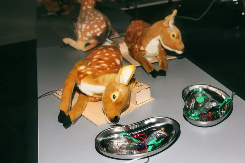 Билеты на Научный Новый год Sciencely, 26 Дек 2025, Новосибирск