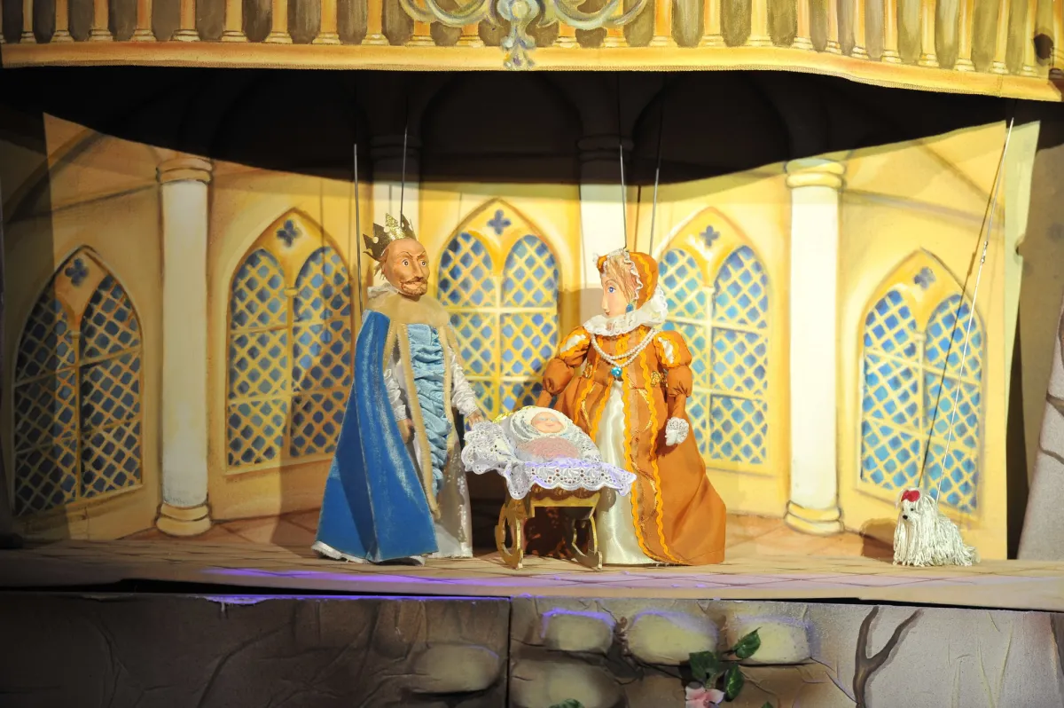 Билеты на Спящая красавица: 14 фев 2026,...