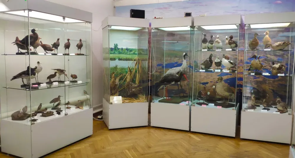 Билеты: Животный мир Томск, 27 Дек 2025