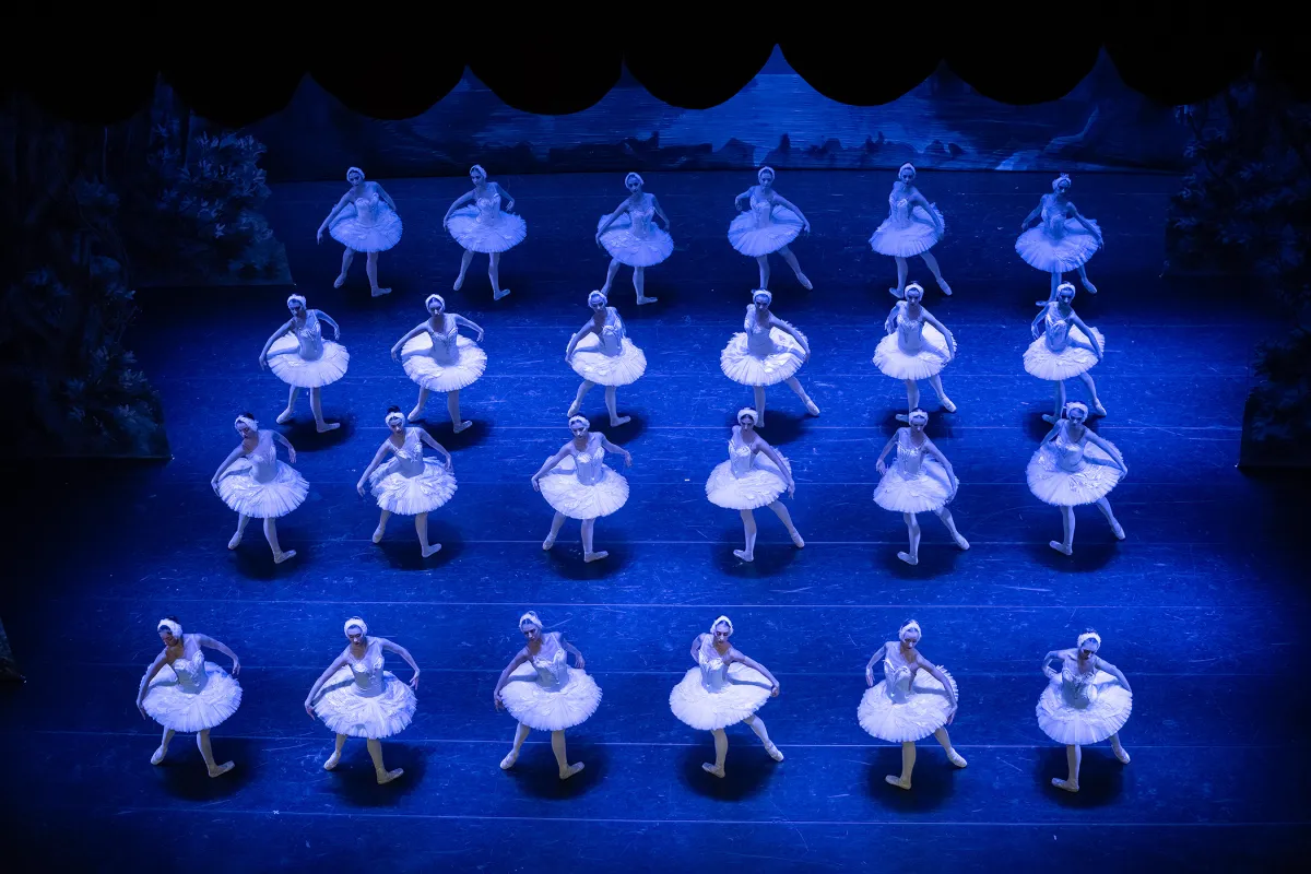 Билеты Лебединое озеро Хабаровск 07 Дек ...