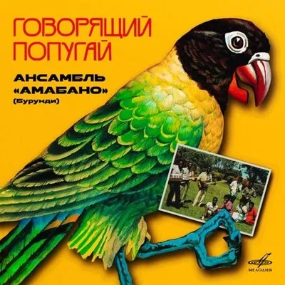 Мелодия переиздает редкий альбом Амабано «Говорящий попугай» на виниле