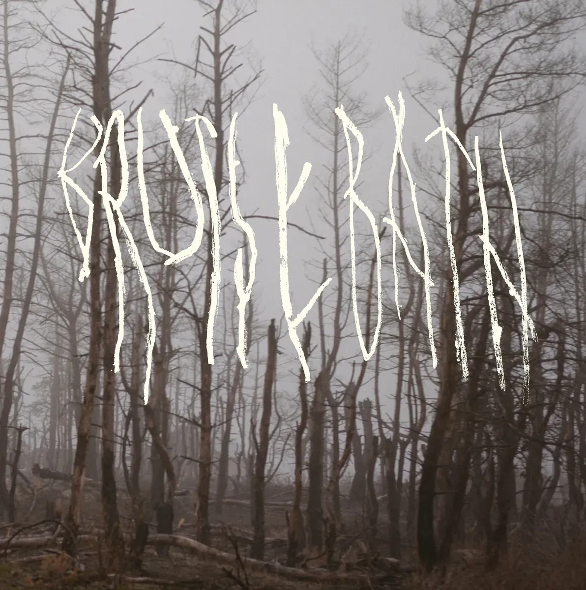 Bruise Bath – протестная песня «Non-Consensual Intervention»